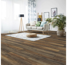 Wohnzimmer mit Holzboden, Sofa, Teppich und Zimmerpflanze