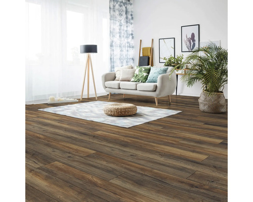 Wohnzimmer mit Holzboden, Sofa, Teppich und Zimmerpflanze