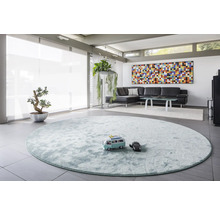 Heller Wohnraum mit runden Teppich, Sofa und Dekoration