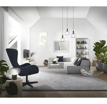 Helles Wohnzimmer mit Sofa, Sessel, Teppich und Zimmerpflanzen