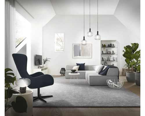 Helles Wohnzimmer mit Sofa, Sessel, Teppich und Zimmerpflanzen