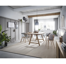 Heller Essbereich mit Holztisch, Stühlen und Teppich