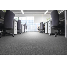 Büro mit Schreibtischen, Bürostühlen und Teppichboden.