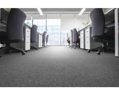 Büro mit Schreibtischen, Bürostühlen und Teppichboden.