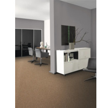 Büro mit Teppichboden, Schreibtisch, Stühlen und Schrank