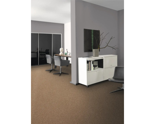 Büro mit Teppichboden, Schreibtisch, Stühlen und Schrank