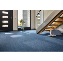 Szene mit blauem Teppichboden, Tür, Treppe und Dekoration für den Eingangsbereich