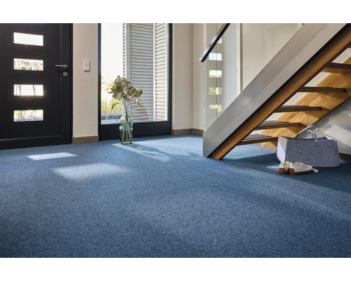 Szene mit blauem Teppichboden, Tür, Treppe und Dekoration für den Eingangsbereich