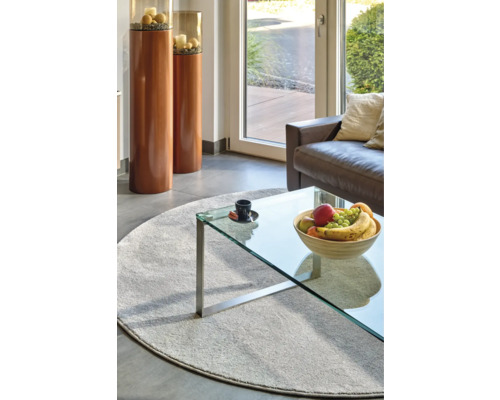 Wohnzimmer mit rundem Teppich, Glastisch und Dekorationselementen.