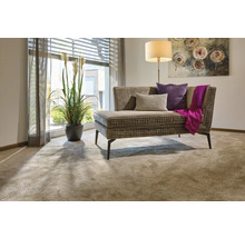 Wohnzimmer mit Teppichboden, Sofa, Stehlampe und Zimmerpflanze am Fenster