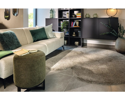 Wohnzimmer mit Sofa, Teppich und Bücherregal für eine gemütliche Atmosphäre