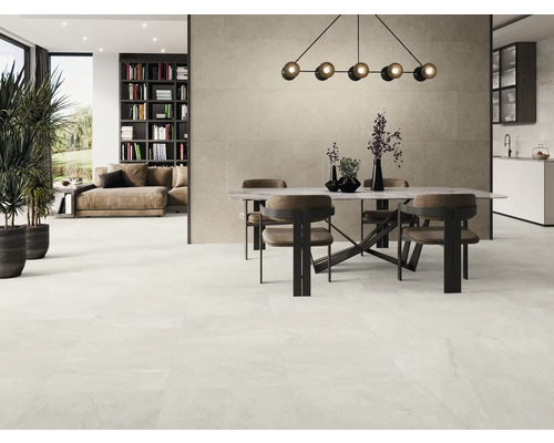 Heller, geräumiger Wohnbereich mit Esstisch, Stühlen, Bücherregal und Zimmerpflanzen.