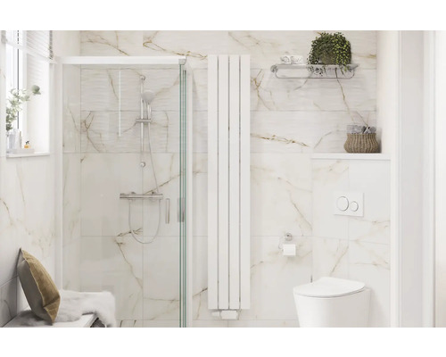 Modernes Badezimmer mit Dusche, Heizkörper und Toilette