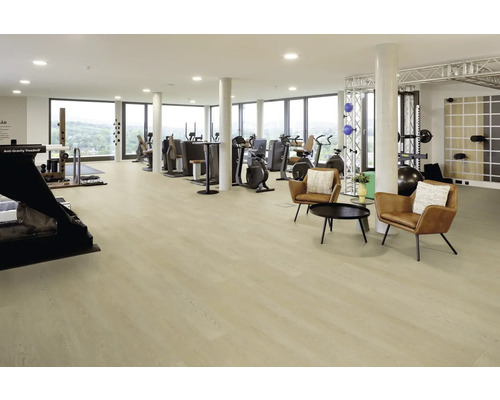 Großzügiger, heller Fitnessraum mit Bodenbelag in Holzoptik, diversen Kraft- und Ausdauergeräten sowie einer Sitzecke mit zwei Sesseln.