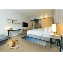 Helles, modernes Schlafzimmer mit Doppelbett, Parkettboden, blauem Teppich, Schreibtisch, Wandfernseher und einem Hund auf dem Boden.