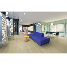 Helle, moderne Optik-Filiale mit hellem Boden in Holzoptik, blauem Sofa und weißen Verkaufsregalen für Brillen.