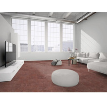 Modernes, helles Wohnzimmer mit rötlich-braunem Bodenbelag, weißem Sofa, Sitzsäcken und großen Sprossenfenstern im Loft-Stil.