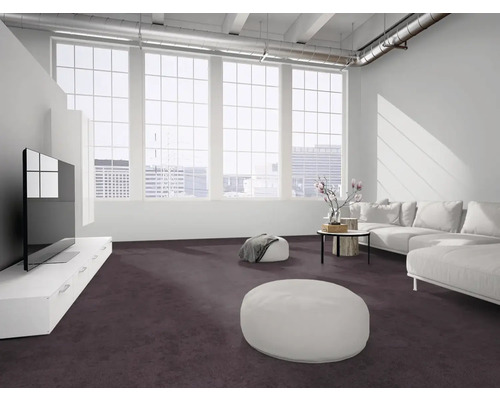 Modernes Wohnzimmer im hellen Loft mit dunkellila Teppichboden, großen Fenstern, weißem Ecksofa und Sideboard.