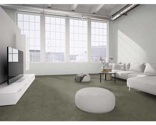 Modernes, helles Wohnzimmer mit grauem Teppichboden, weißem Sofa, Fernseher auf Lowboard und großen Fenstern im Loft-Stil.
