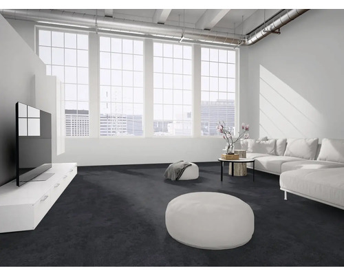 Moderner Wohnbereich mit dunklem Teppichboden, weißem Sofa, niedrigem Sideboard mit Fernseher und großen Sprossenfenstern im Loft-Stil.