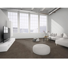 Modernes, helles Wohnzimmer im Loft-Stil mit dunkelbraunem Teppichboden, weißen Möbeln und großen Fenstern.