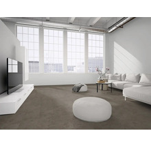 Modernes, helles Wohnzimmer im Industriestil mit grauem Teppichboden, großen weißen Fenstern, weißem Ecksofa, TV-Board und Sitzpuffs.