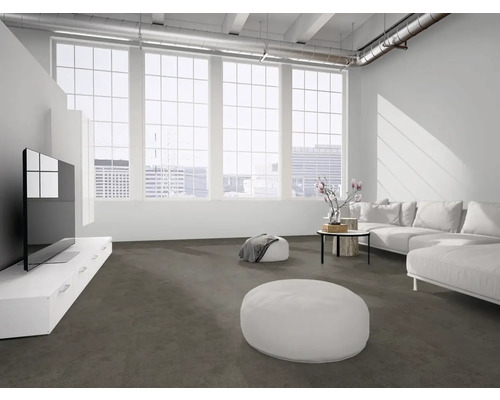 Modernes Wohnzimmer im Loft-Stil mit großen Fenstern, weißem Sofa und dunkelgrauem Teppichboden.