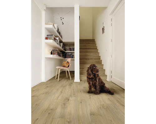 Hell gestalteter Flur mit Laminatboden in Holzoptik, dazu passender Holztreppe, eingebautem Wandregal und einem sitzenden braunen Hund.