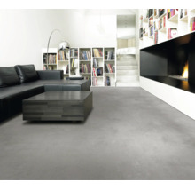 Modernes Wohnzimmer mit grauem Boden in Betonoptik, schwarzem Ledersofa, dunklem Couchtisch, weißem Bücherregal und Kamin.