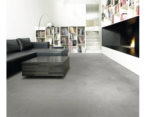 Modernes Wohnzimmer mit grauem Boden in Betonoptik, schwarzem Ledersofa, dunklem Couchtisch, weißem Bücherregal und Kamin.