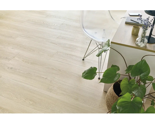 Heller Laminatboden in Holzoptik in einem modern eingerichteten Arbeitszimmer mit transparentem Stuhl und einer Pflanze.