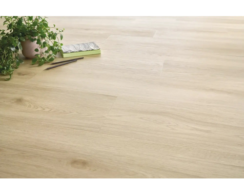 Heller Laminatboden in Holzoptik verlegt in einem Raum mit Zimmerpflanze und Dekoration.