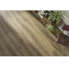 Holzoptik Laminatboden in einer rustikalen Wohnumgebung mit Holzmöbeln und Zimmerpflanzen.