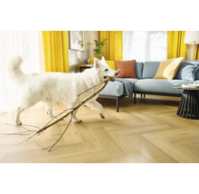 Heller Parkettboden in Fischgrätoptik in einem Wohnzimmer mit Sofa und spielendem Hund