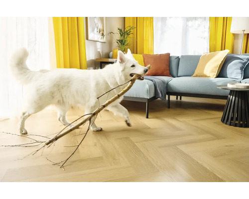 Heller Parkettboden in Fischgrätoptik in einem Wohnzimmer mit Sofa und spielendem Hund