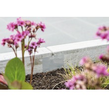 Garten mit Rasenkante und Beetbegrenzung