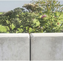 Betonbegrenzung mit Pflanzen