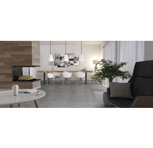 Helles Wohnzimmer mit Kamin, Esstisch, Stühlen und Dekoration