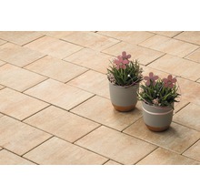 Verlegte Pflastersteine mit zwei Blumentöpfen