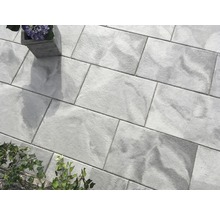 Verlegtes Pflaster aus Beton mit Pflanzen und einem Blumentopf