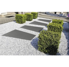 Gartenszene mit Kiesweg, Trittplatten und Buchsbaumhecken