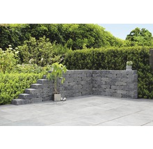 Garten mit Mauer, Treppe und Pflanzen