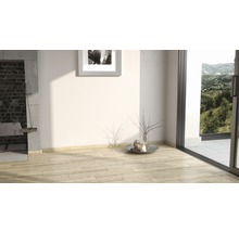 Heller Raum mit Grill, Fenster und Holzboden