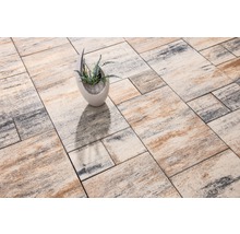 Verlegte Pflastersteine mit Muster und Vase mit Pflanze