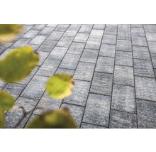 Graue Pflastersteine bilden einen Gartenweg.