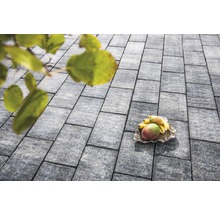 Pflastersteine aus Stein mit Obstschale im Garten