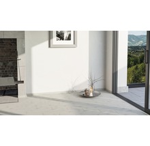 Heller Raum mit Bodenfliesen in Holzoptik, Kamin, Bild und Terrassentür