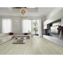 Heller Wohnraum mit Holzboden, Ecksofa, Couchtisch und TV-Wand