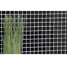 Dekorative Halme vor schwarzem Mosaikhintergrund