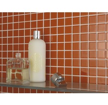 Mosaikfliesen in einem Badezimmer mit Pflegeprodukten auf einem Glasregal